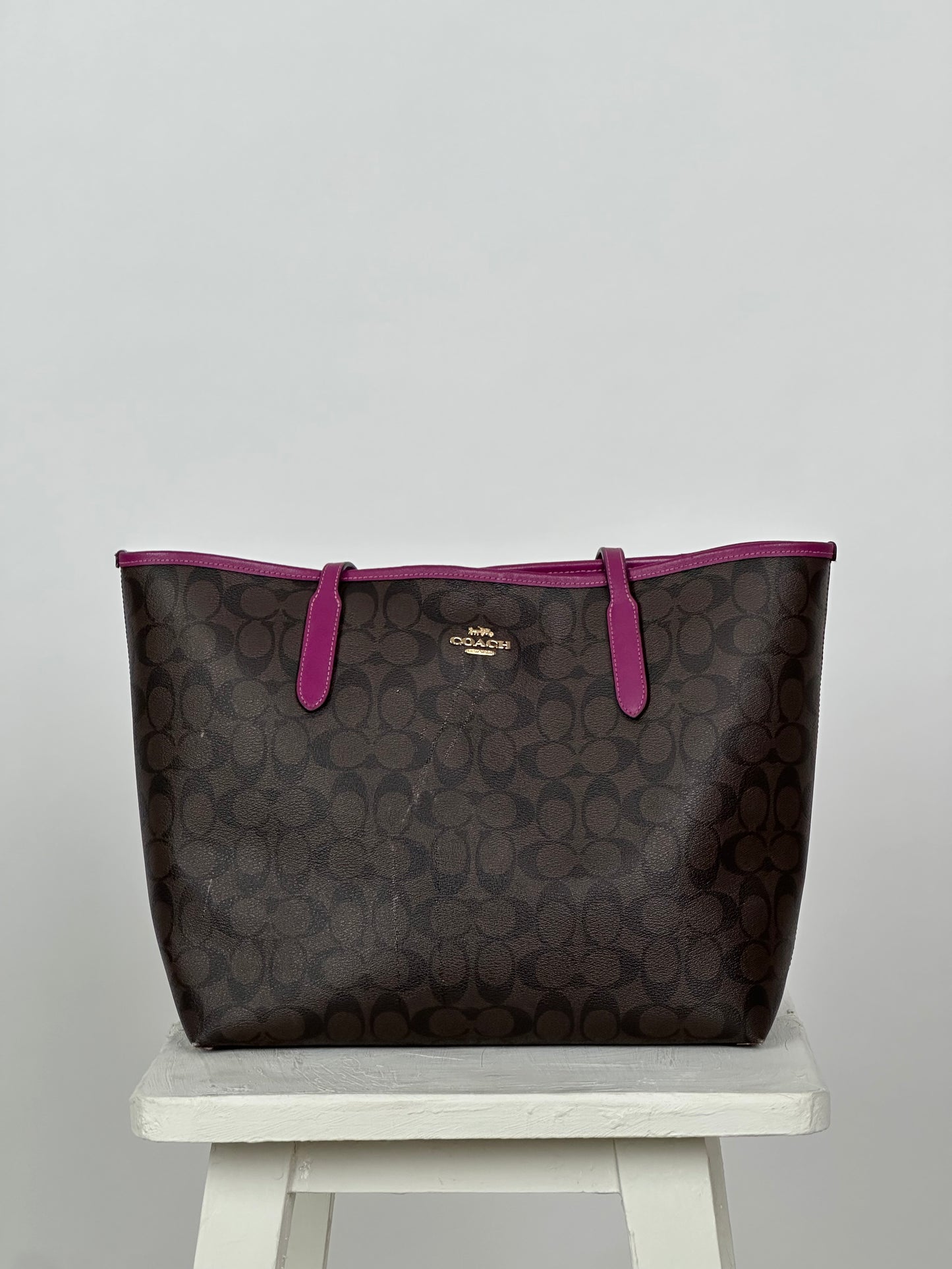 Coach Signature Tote Bag