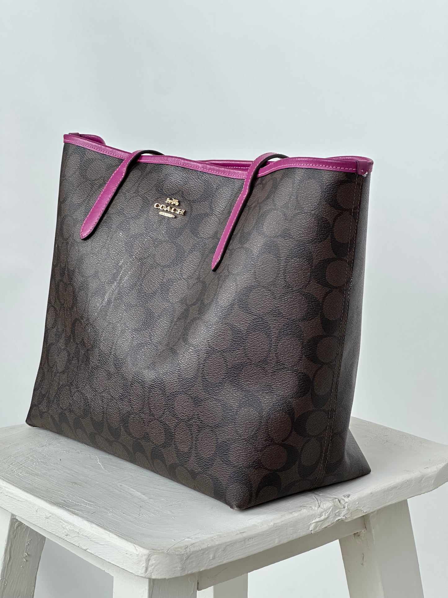 Coach Signature Tote Bag