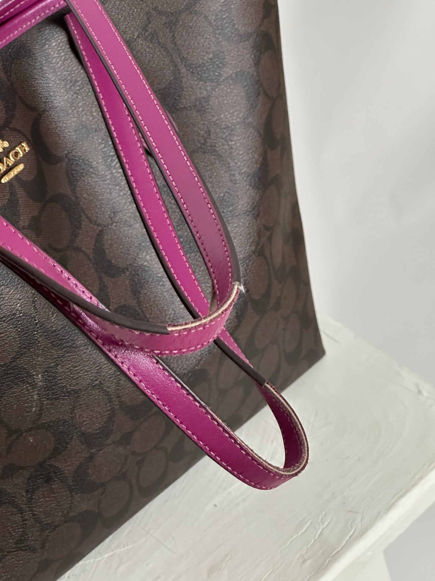 Coach Signature Tote Bag